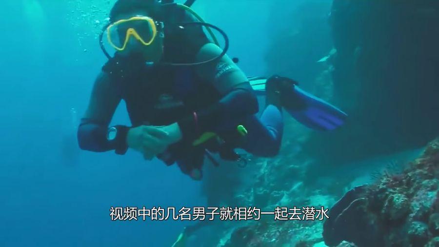2024年的“春夏流行色”,为什么是它们?5个颜色,个个不简单